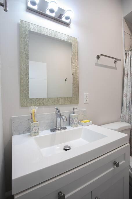 Spacious 1 Bedroom Apartment In Balboa Park San Diego Eksteriør billede